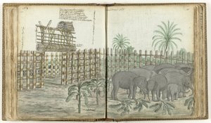 Elephant Play and Grinding Corral by Jan Brandes