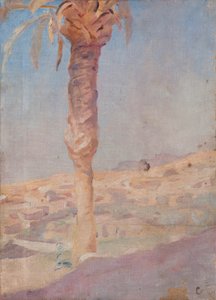 Spain (Crevillente) by Jan Ciągliński