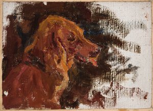 Mariino - Study of a Dog