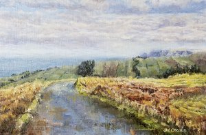 Autumn Coastal Road by Jan Clizer