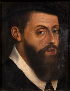 Portrait of the Emperor Charles V by Jan Cornelisz. Vermeyen