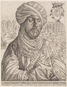 Portrait of Muley Ahmed by Jan Cornelisz Vermeyen