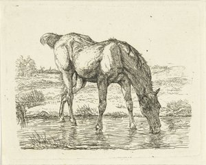 Drinking Horse by Jan Dasveldt