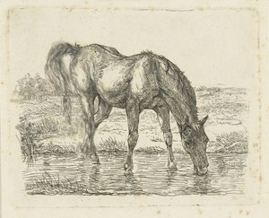 Drinking Horse by Jan Dasveldt