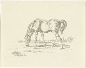 Grazing Horse Facing Right