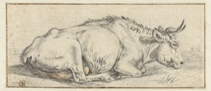 Lying Cow by Jan Dasveldt