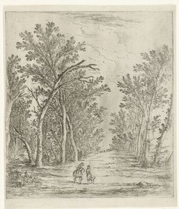 Forest Path