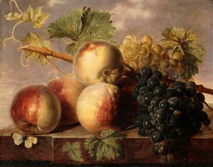 Peaches and Grapes with a Cabbage White on a Marble Ledge