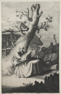 St. Jerome by Jan Georg van Vliet