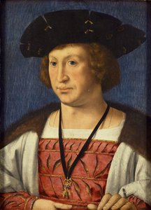 Floris van Egmond, Count of Buren