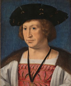 Floris van Egmond, Count of Buren and Leerdam