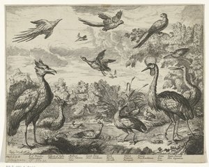 Various Birds in a Landscape by Jan Griffier (I) (copy after)