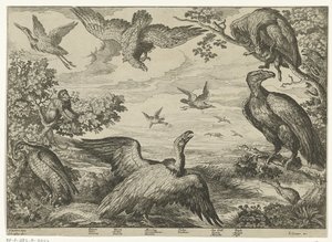 Various Birds and a Monkey