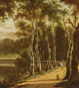 An Avenue of Birches Beside a River