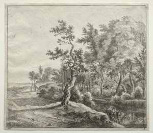 The Serpentine Road by Jan Hackaert