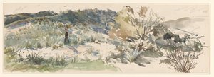 Dune Landscape