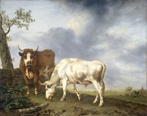 Oxen in the Meadow by Jan II Kobell