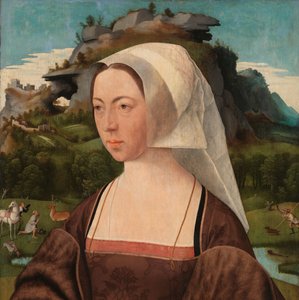 Portrait of an Unknown Woman