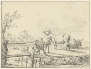 Cows in a Meadow by Jan Kobell (II)