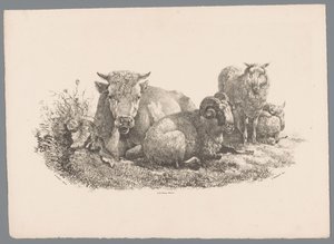 Cow, Ram, and Two Sheep by Jan Kobell (III)