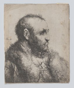 Bust of an Old Man with a Fur Collar by Jan Lievens