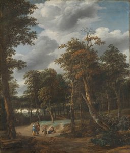 Forest Road by Jan Looten