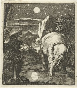 Hare and Elephant with Full Moon at a Water Source by Jan Luyken