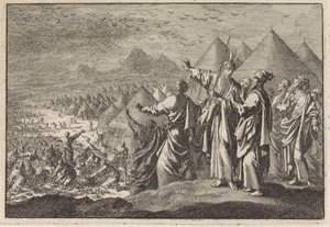 Quails in the Desert by Jan Luyken