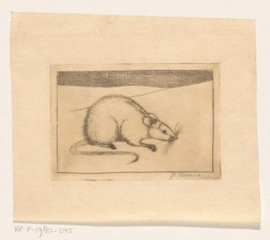 Mouse by Jan Mankes (signed by artist)