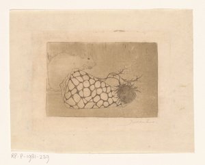 Mouse, Shell, and Thistle by Jan Mankes (signed by artist)