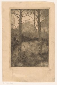 Forest Edge by Jan Mankes