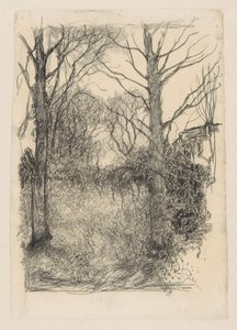 Forest Edge by Jan Mankes