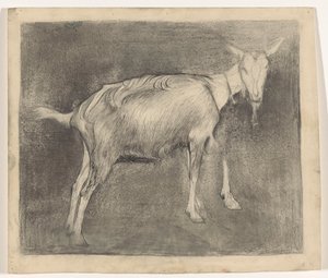 Standing Goat by Jan Mankes