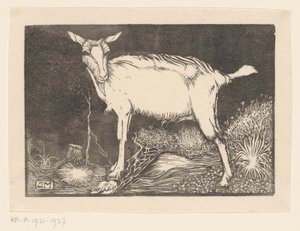 White Goat by Jan Mankes
