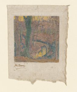 Bare Beech Trees Along a Stream