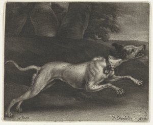 Running Dog by Jan Verkolje (I)