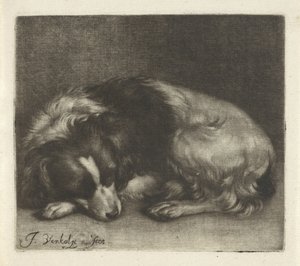 Sleeping Dog, Possibly a Spaniel