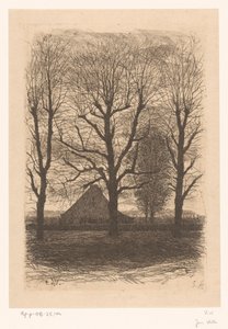 Farmhouse Among Tall Trees, Ewijkshoeve