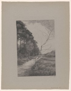Path between Trees by Jan Veth