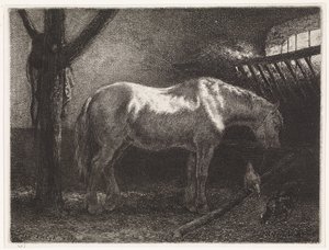 Horse in Stable