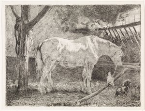 Horse in Stable