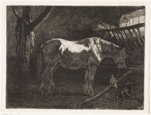 Horse in Stable