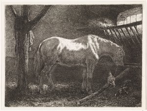 Horse in Stable