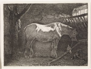 Horse in Stable
