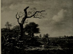 The Leafless Tree by Jan Wijnants