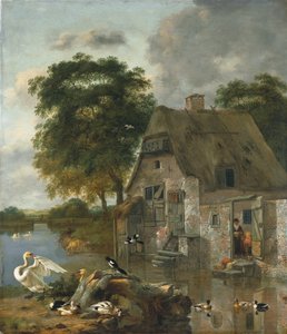 Swans, ducks and other birds in front of a cottage by the water