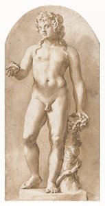 Young Bacchus Standing
