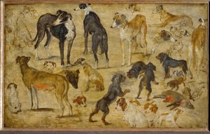 Animal Studies