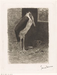 Marabou by Jan van Essen (signed by artist)