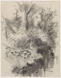Ducks Sleeping Among Bushes by the Water